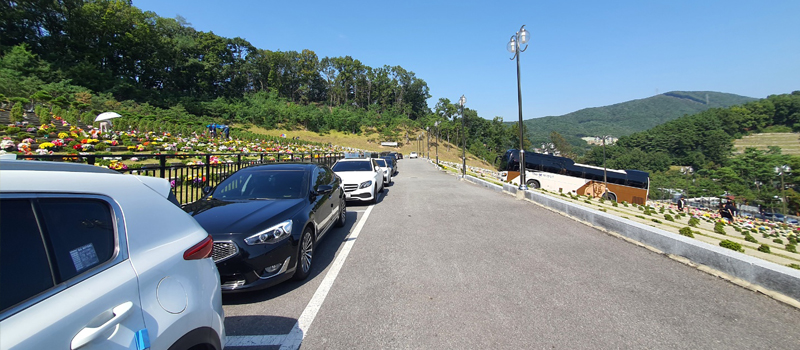 용인수목장