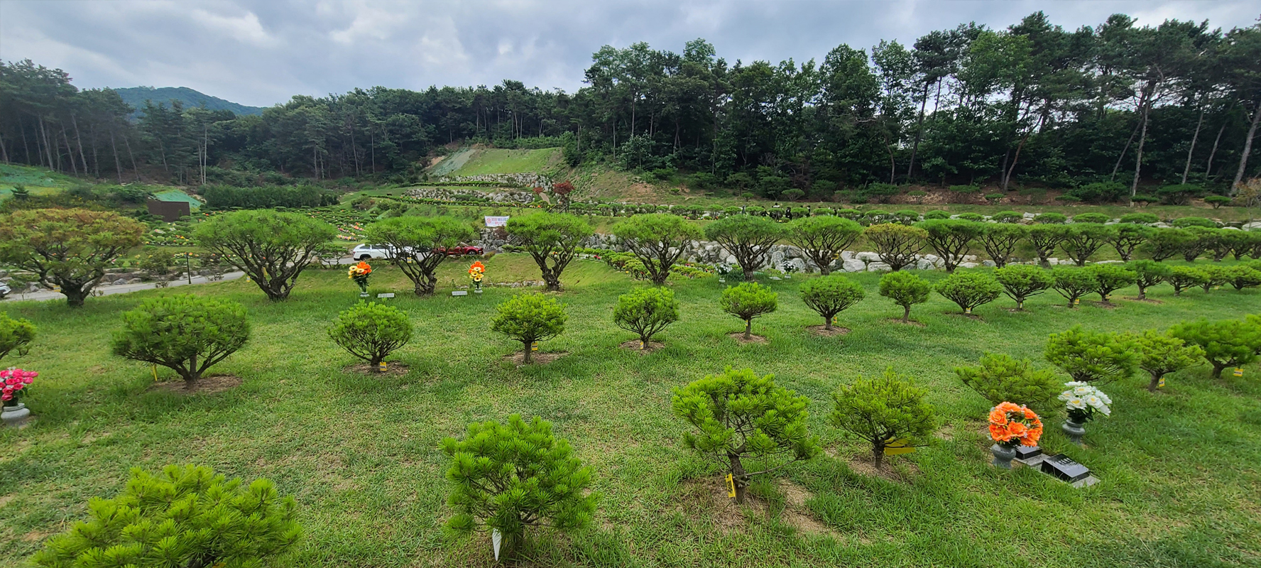용인수목장