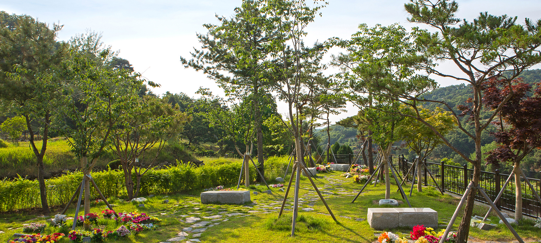 용인수목장
