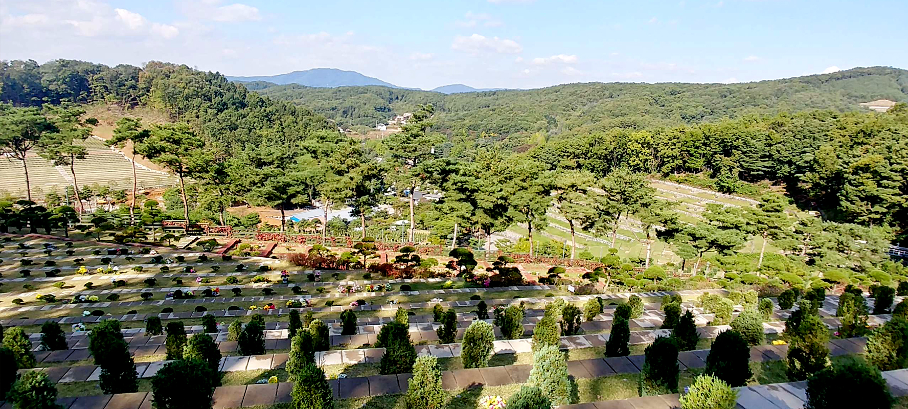용인수목장
